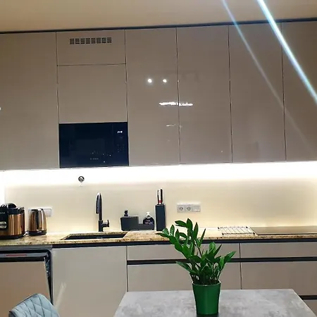 Apartment Smichov Prague